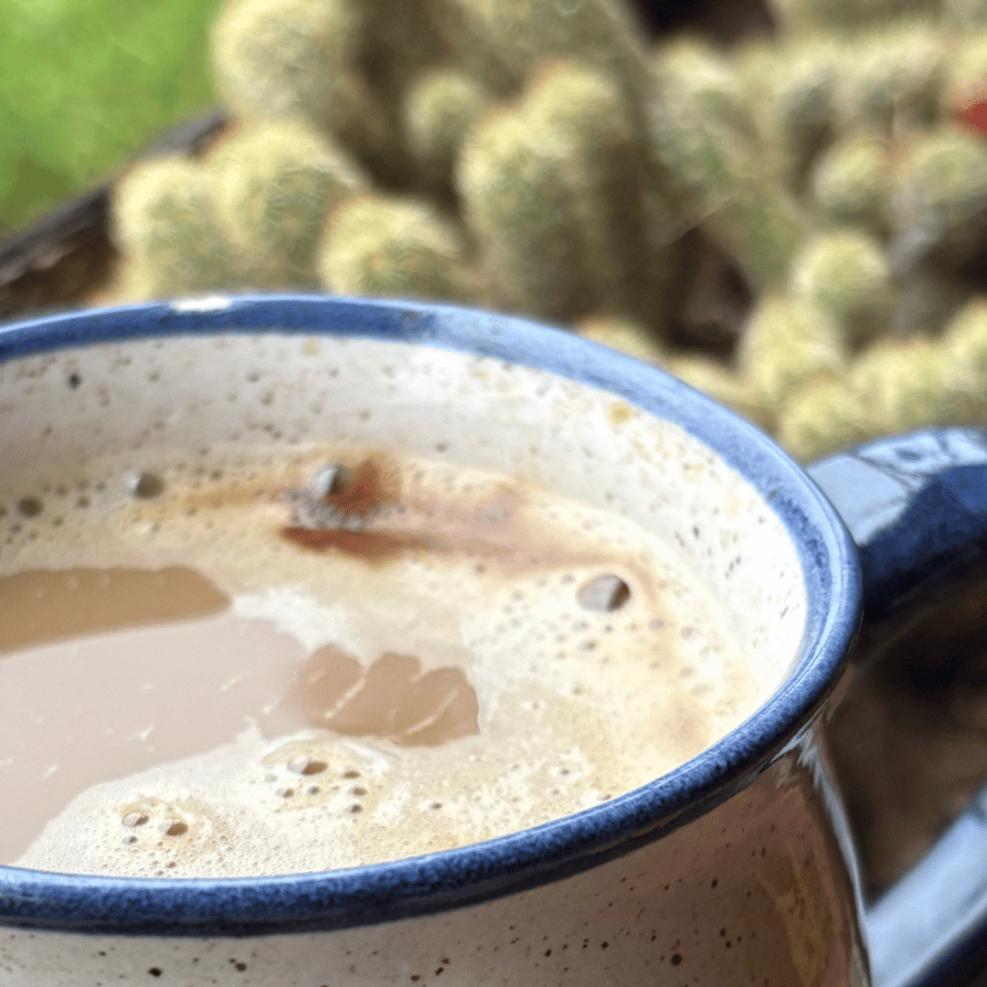 Matekaffee. Koffein. Kaffee. Mate