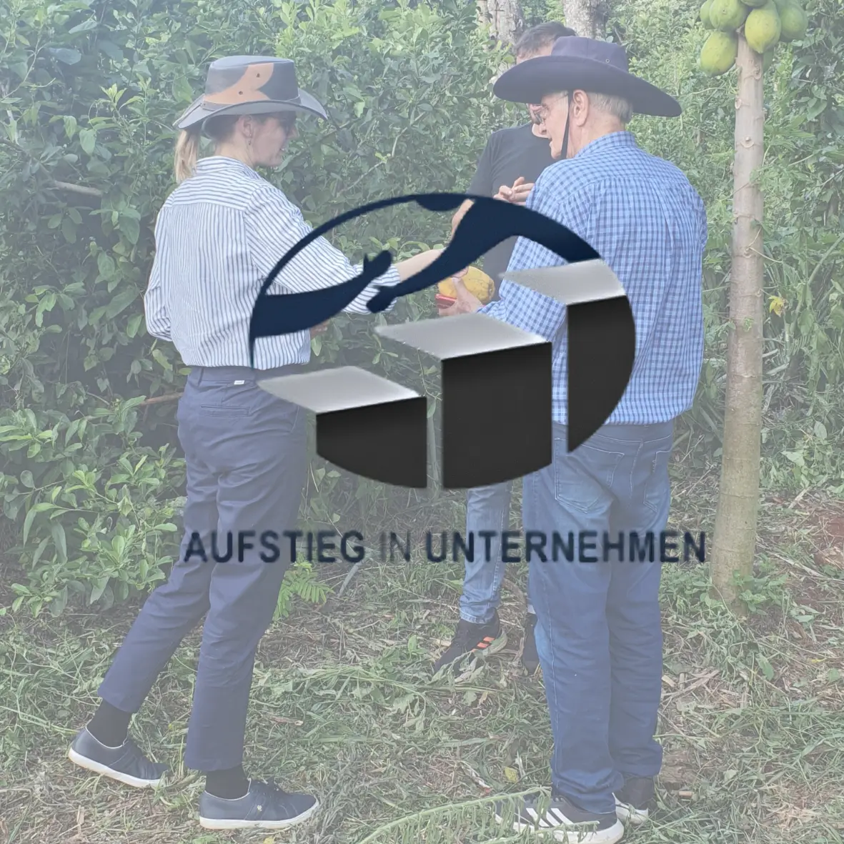 Klassefrauen in der Wirtschaft